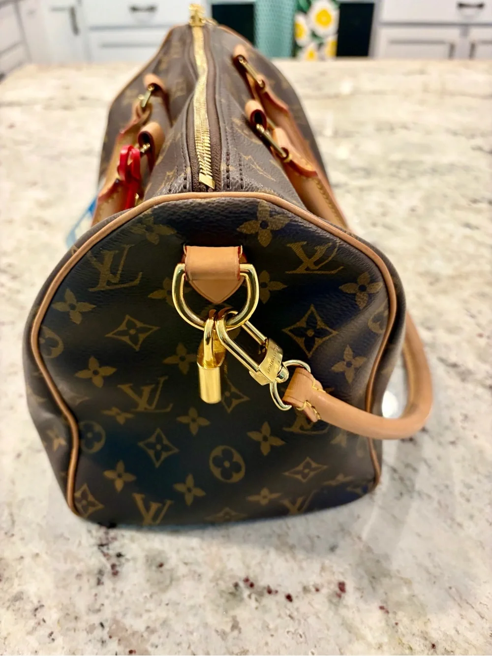 Louis Vuitton iconic louis